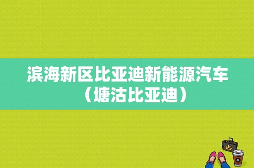 滨海新区比亚迪新能源汽车（塘沽比亚迪）