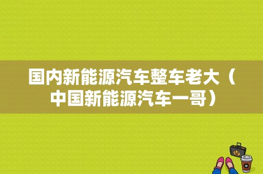 国内新能源汽车整车老大（中国新能源汽车一哥）-图1