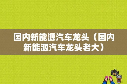 国内新能源汽车龙头（国内新能源汽车龙头老大）