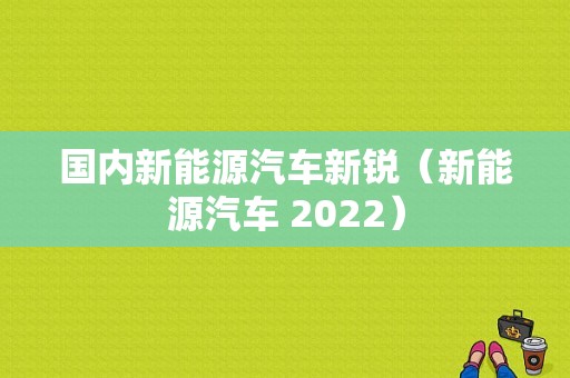 国内新能源汽车新锐（新能源汽车 2022）