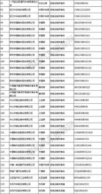 306批新能源汽车（新能源第33批）-图2