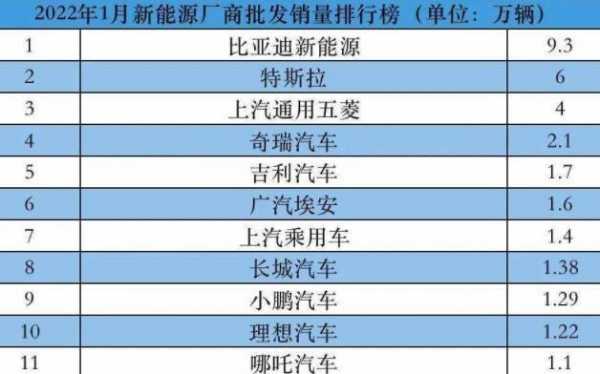 新能源大型汽车品牌（新能源汽车排名前十）-图3