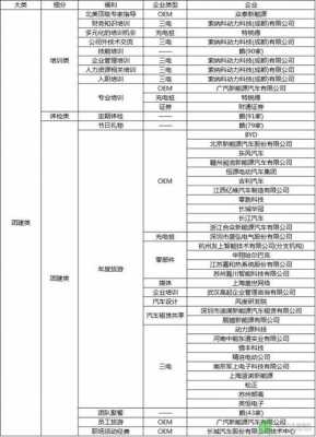 新能源汽车质量总监（新能源汽车总监招聘）-图2