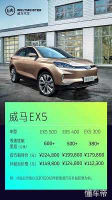 新能源汽车9.9（新能源汽车998万补贴售价998万什么意思）-图3