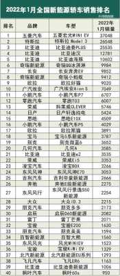 全国新能源汽车有几家（25家新能源汽车）