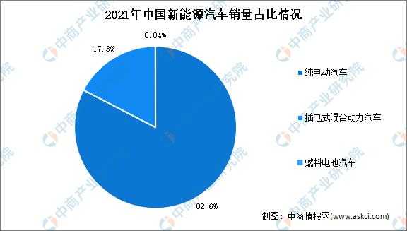 新能源汽车市场细分（新能源汽车市场细分原因）-图2