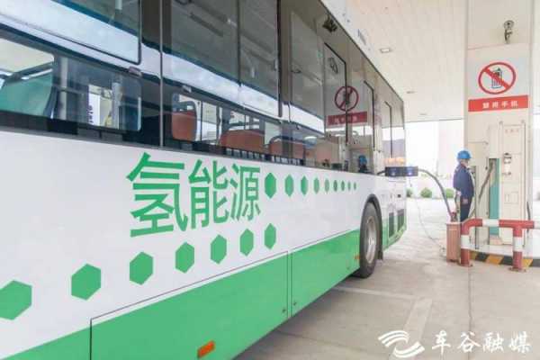 新能源氢汽车（新能源氢气汽车）-图3