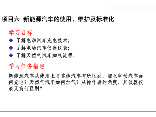 新能源汽车标准化（新能源汽车标准化工作总结）