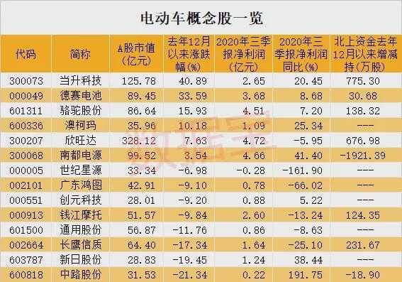 瑞新能源汽车（瑞新能源汽车股票代码）-图1