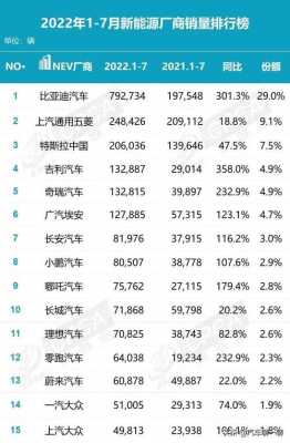 新能源汽车中国厂家排名（国内新能源汽车公司排名）