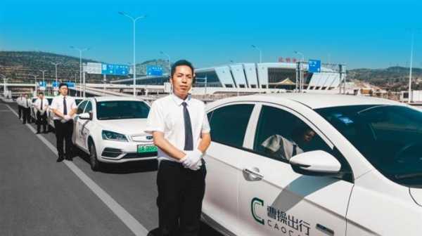 新能源汽车专拉顺风车（有新能源顺风车司机吗）-图2