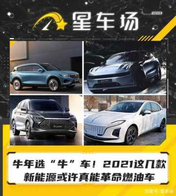 真牛新能源汽车（真牛官方网站）