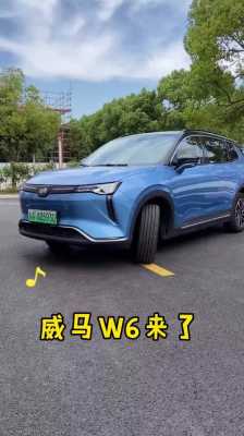 新能源汽车威马价格（威马新能源汽车价格w6）-图3