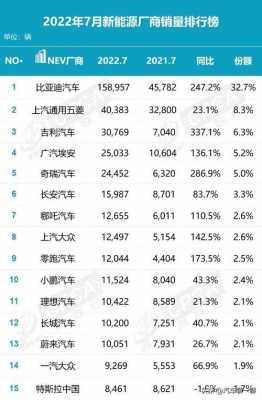 国产新能源汽车第批（国产新能源汽车有哪些品牌）-图2