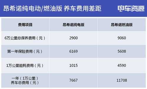 新能源汽车首保（新能源汽车首保是多少公里）-图1