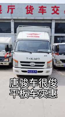 唐骏新能源汽车（唐骏新能源汽车怎么样）-图3