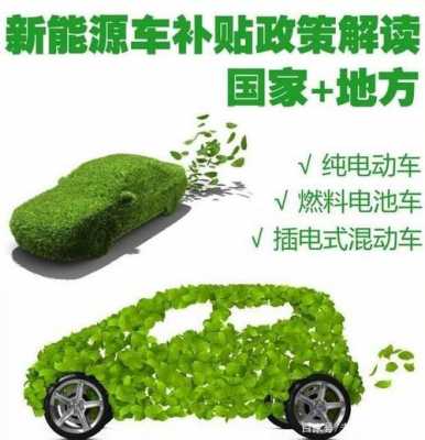 新能源有补助汽车（新能源汽车有无补贴）-图1