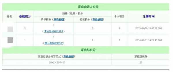 新能源汽车家庭申请积分（新能源 家庭积分）