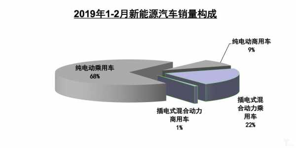 新能源2019年汽车（2019新能源乘用车销量）-图2