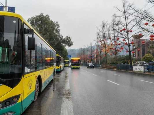 黔江新能源汽车（黔江新能源汽车租赁公司）