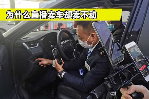 新能源汽车直播卖车（卖新能源车带货源是骗局吗）-图2