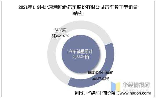 北汽新能源汽车公（北汽新能源汽车公司2021年年度报表）-图1