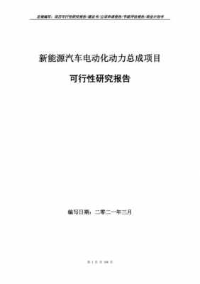 新能源汽车怎么立项（新能源汽车怎么立项成功）-图3