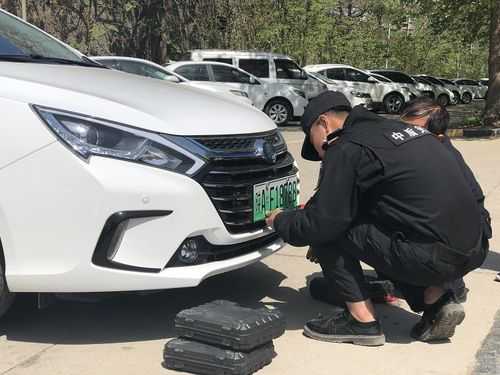 可以上新能源牌照汽车（新能源可以上牌照吗）-图2