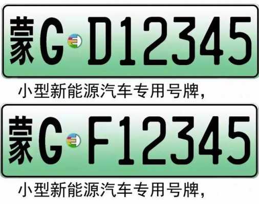 12张新能源汽车牌照（新能源汽车牌照尺寸标准）-图3