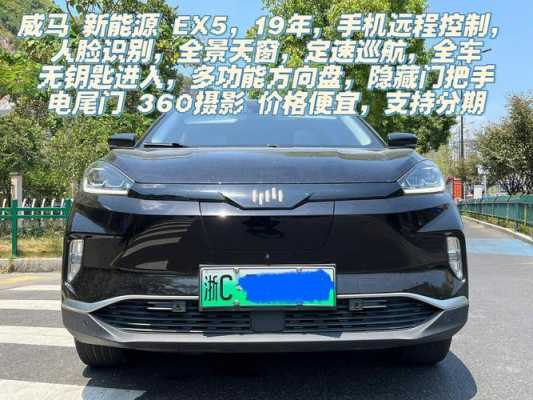 新能源电动中大suv汽车（大型新能源suv）