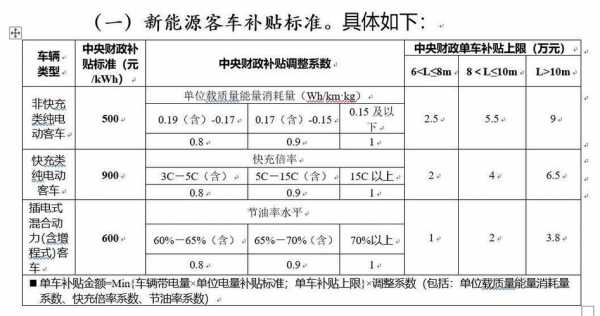 新能源汽车2019年补助（19年新能源补贴）-图3