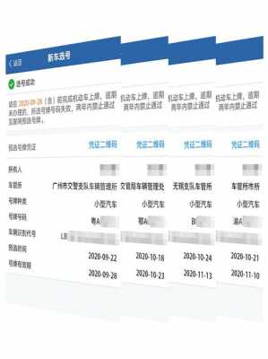 新能源汽车选号网址（新能源汽车选号网址查询）-图3