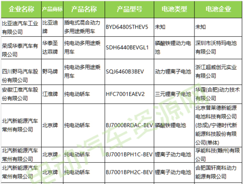 新能源汽车电池最厉害（新能源汽车电池种类和排名）-图3