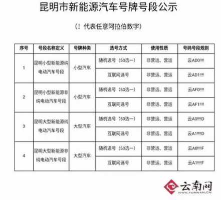 新能源汽车号段（新能源汽车号段公布后多久可以选牌）-图2