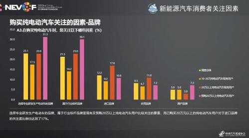 新能源汽车的消费者（新能源汽车的消费者分析报告）-图1