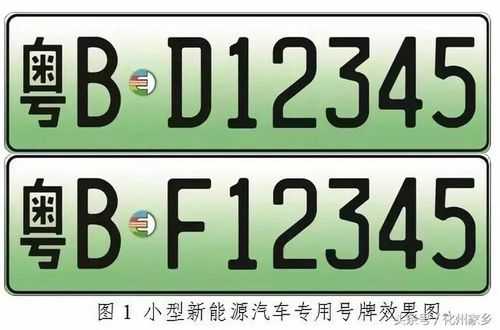 新能源汽车牌照尺寸标准（新能源汽车牌照尺寸是多少）-图1