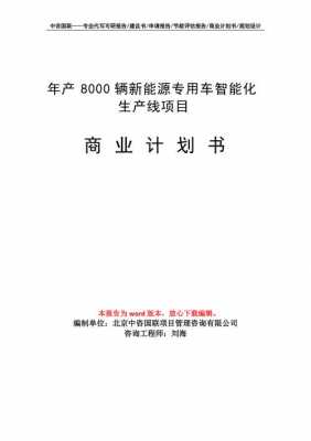 新能源汽车领域融资（新能源汽车融资计划书）-图3