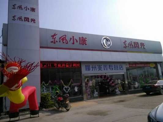 柳州东风新能源汽车（柳州东风新能源汽车4S店）-图3