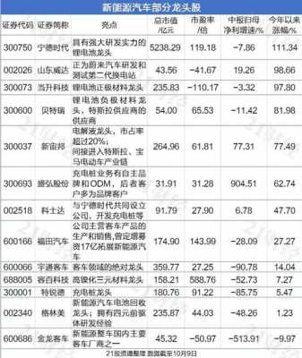 2017新能源汽车龙头（2021新能源汽车龙头股）-图2