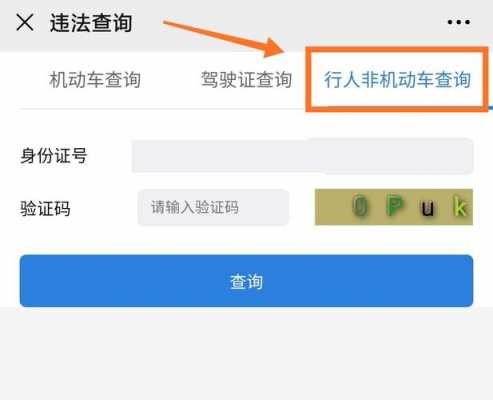 新能源汽车违章查询（新能源汽车违章查询为何查不到）-图3