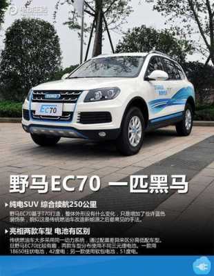 北汽野马新能源汽车（野马新能源汽车价格表ec70）-图3