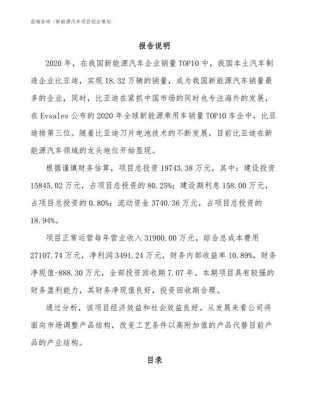 新能源汽车个人创业（新能源汽车个人创业项目）-图1