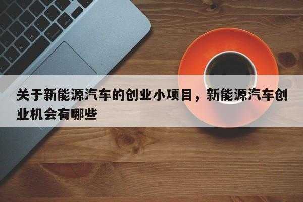 新能源汽车个人创业（新能源汽车个人创业项目）-图3