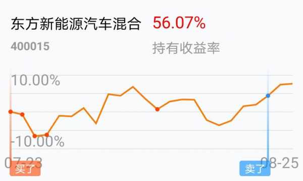 大基金新能源汽车（基金新能源汽车400015）-图3