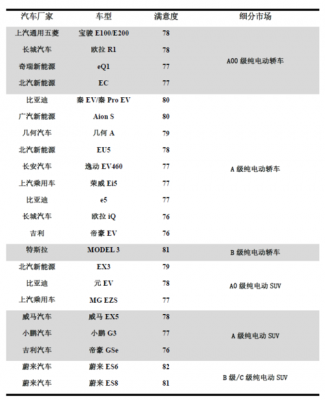 新能源汽车满意度（新能源汽车满意度量表）-图2