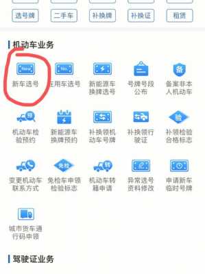 新能源汽车车牌怎选号（新能源汽车车牌怎选号）-图2