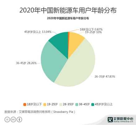 新能源汽车用户年龄（新能源汽车用户年龄限制）