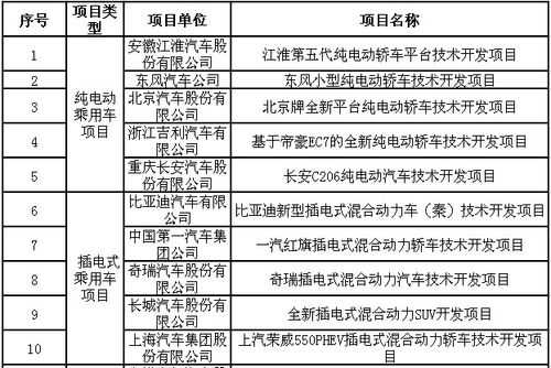 新能源汽车项目支持资金（新能源汽车项目支持资金申请）