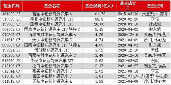 新能源汽车有哪些基金（新能源汽车有哪些基金股票）-图1