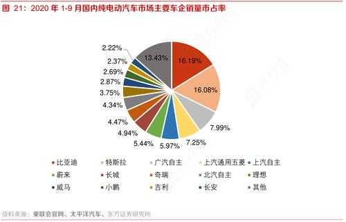 2030年新能源汽车比例（2020新能源汽车比例）-图3